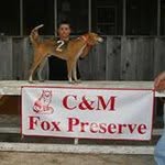 Justin Benton - @high_stepn_kennels - Instagram