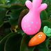 Justina Bianchini - Facebook