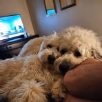 Justin Biddle - Facebook