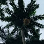 Justin Bilderback - @justinbilderback - Instagram