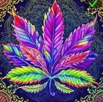 Justin Blauvelt - Facebook
