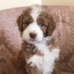 Justin Blodgett - @jclawncare12 - Instagram