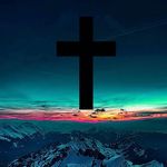 Justin Blodgett - @justinblodgett11 - Instagram