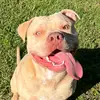 justinblosser88 - @justinblosser88 - TikTok