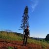 Justin Bobo - @justin.bobo33 - TikTok