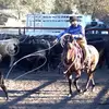 Justin Bogle - @justin.bogle6 - TikTok