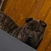Justin Boring - Facebook