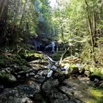 Justin - @boring_old_justin - Instagram