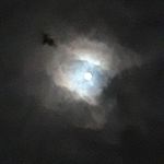 Justin Bourque - @justin.bourque - Instagram