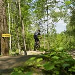 Justin Bourque - @justbourque - Instagram