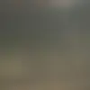 Justin.bourque - @justin.bourque - TikTok