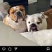 Jastin Braber - Facebook