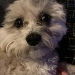 Justin Bricker - @justinbricker29 - Instagram