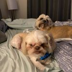 Justin Brittain - @brittain8075 - Instagram