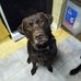 Justin Brugger - Facebook