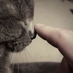 Justin Brugger - @justin.brugger.5 - Instagram
