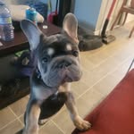 Justin Brush - @justin0036 - Instagram
