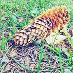 Justin brush - @justinbr44 - Instagram