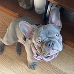 Justin Cable - @lightorsmthidk - Instagram