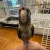 Justin - @justin.cable - TikTok