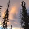 Justin Cardinal - @justin.cardinal6 - TikTok