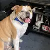 Justin Carper - @justin.carper - TikTok