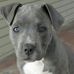 Justin Carty - Facebook