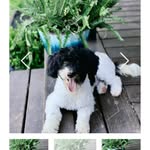 Justin causey - @causey2878 - Instagram