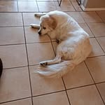 Justin Causey - @causey9111 - Instagram
