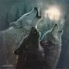 Justin Chadwell - @justin.chadwell6 - TikTok
