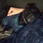 Justin Claypoole - @justinclaypoole1 - Instagram