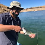 Justin Clemente - @clems1castcatch - Instagram