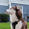 Justin Cloud - @justincloud - TikTok