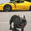 user7956931099496 - @justin.cloud - TikTok