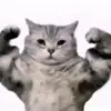 justinconte0 - @justinconte0 - TikTok