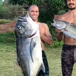 Justin Cook - @cookieboy808 - Instagram