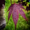 Justin Cook - @justin.cook83 - TikTok