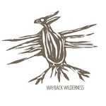Jᴜsᴛɪɴ Cᴏᴏᴋ - @waybackwilderness - Instagram