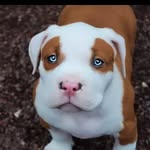 justincoots - @coots01.justin - Instagram