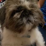 Justin Cotto - @justincotto0110 - Instagram