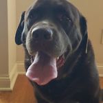 Justin Casey Craddock - @craddock_the_great0 - Instagram