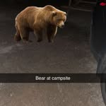 Justin Crawley - @justin_crawley1 - Instagram