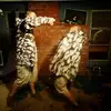 Justin Dapron - @justindapron - TikTok