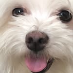Justin Danielson - @justinddc - Instagram