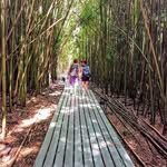 Justin Danielson - @justin.gallant.7547 - Instagram