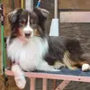 Justin K Danielson - @justin.k.danielso - TikTok