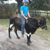 Justin Darling - Facebook