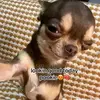 Justin Darling - @justin.darling8 - TikTok