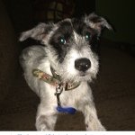 Justin Delph - @trollbabypop124 - Instagram