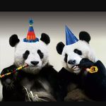 Justin Delph - @countrypandagms - Instagram
